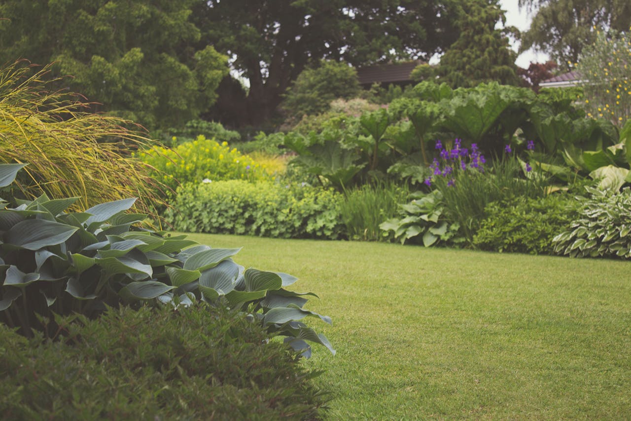 garden-7283.jpg